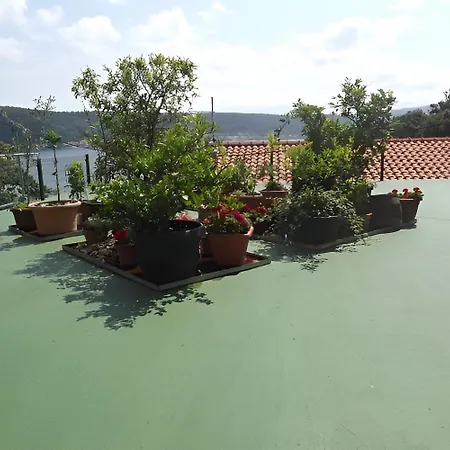 Guest house By The Sea Supetarska Draga - Donja, Rab - 23068 Rab Town